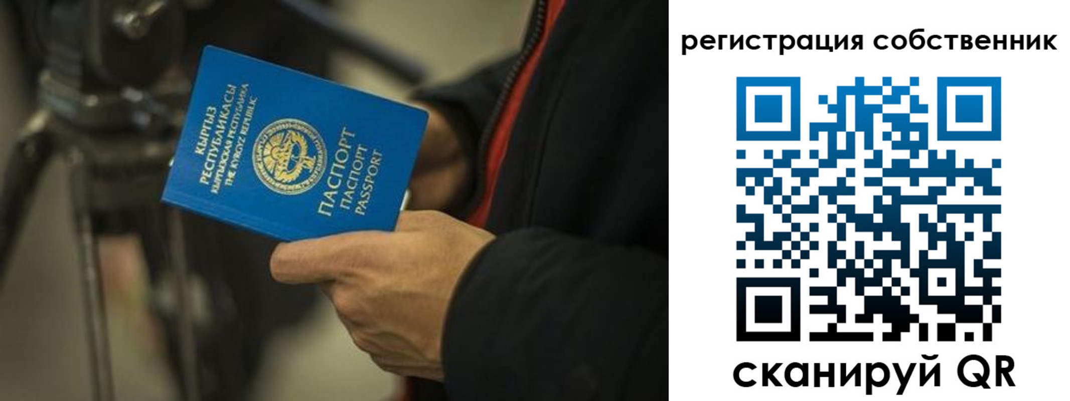 временная регистрация поиск в Новомосковске